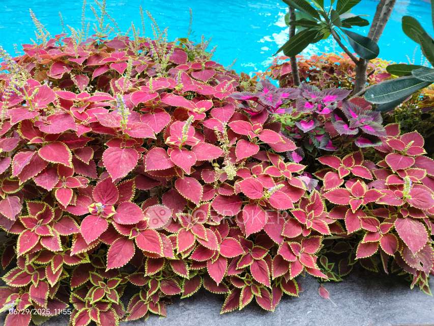 3 BHK Flat In Vtp Beaumonde Building T4 For Sale  In Manjari