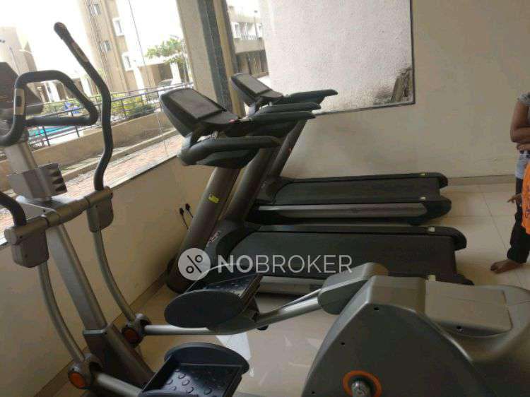 1 BHK Flat In Kalpavriksha For Sale  In Panvel