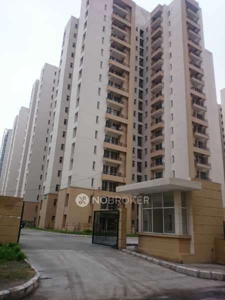 3 BHK Flat In Jp Kosmos For Sale  In Sector 134