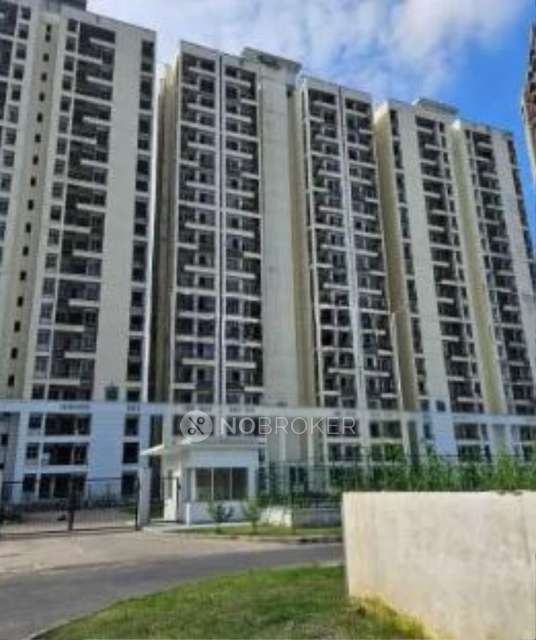 2 BHK Flat In Kba 03 for Rent  In Sector 131