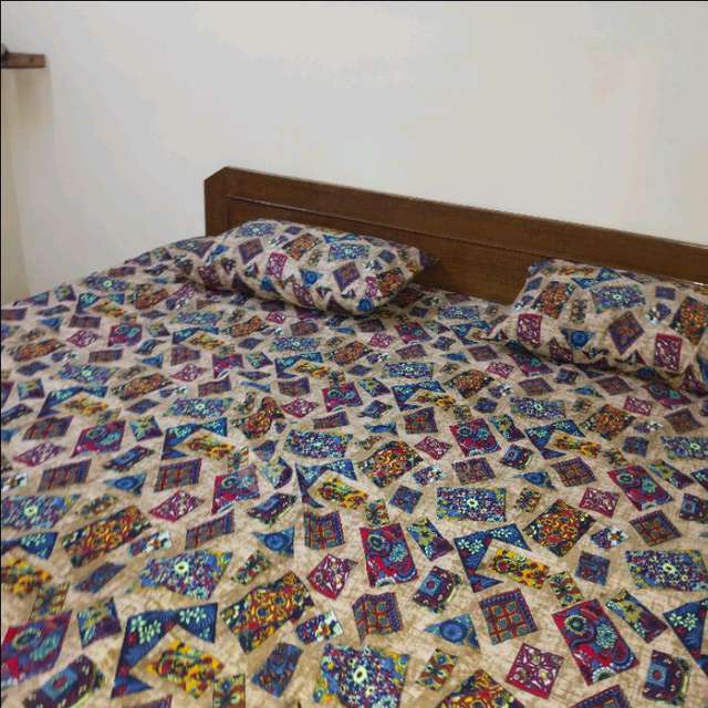 1 BHK Flat In Flora for Rent  In Ashok Nagar