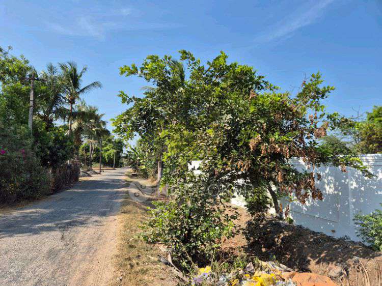 Plot For Sale  In No In Chengalpet