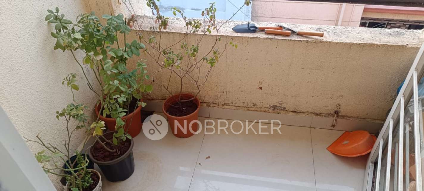 1 BHK House for Rent  In Chikhali