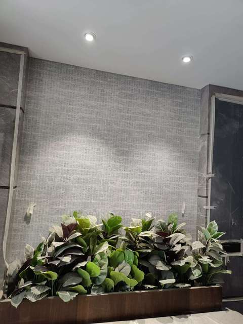 3 BHK Flat In Majestique Signature Tower,  Balewadi, Pune for Rent  In  Balewadi, Pune