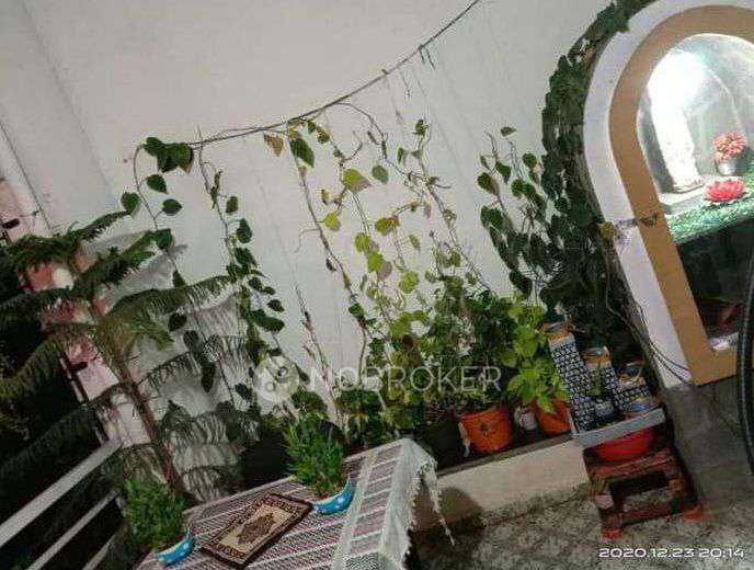 1 BHK Flat In Jayashree Boulevard For Sale  In Lohegaon