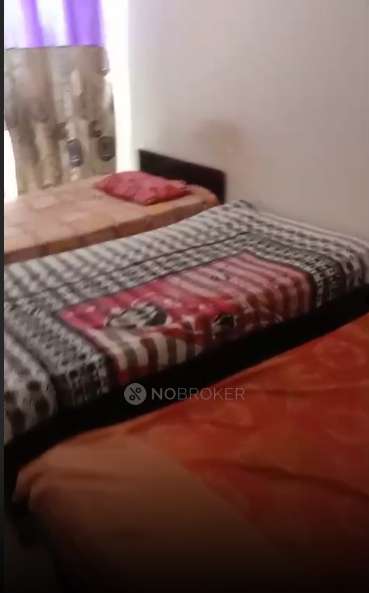 PG for Girls in Sector 142