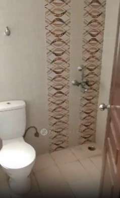 PG for Girls in Sector 142