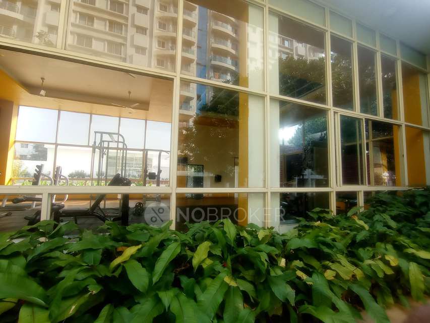 2 BHK Flat In Megapolis Sparklet For Sale  In Hinjewadi