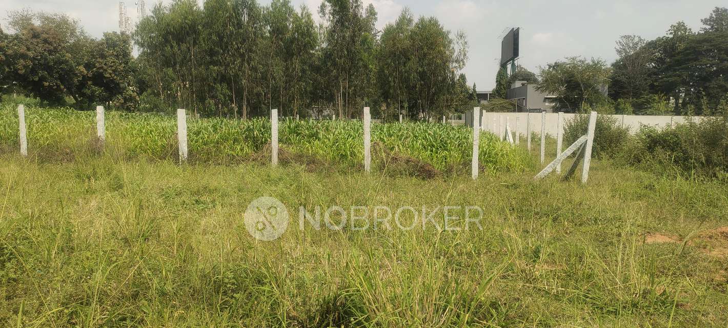 Plot For Sale  In Yelahanka