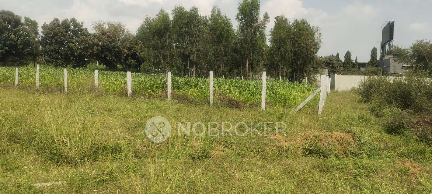 Plot For Sale  In Yelahanka