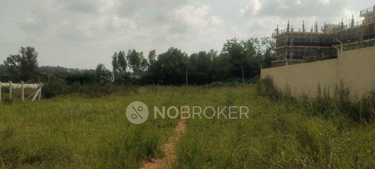 Plot For Sale  In Yelahanka