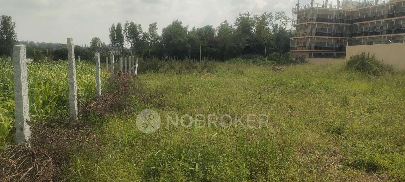 Plot For Sale  In Yelahanka