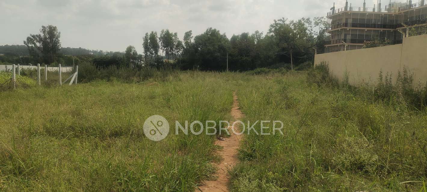 Plot For Sale  In Yelahanka