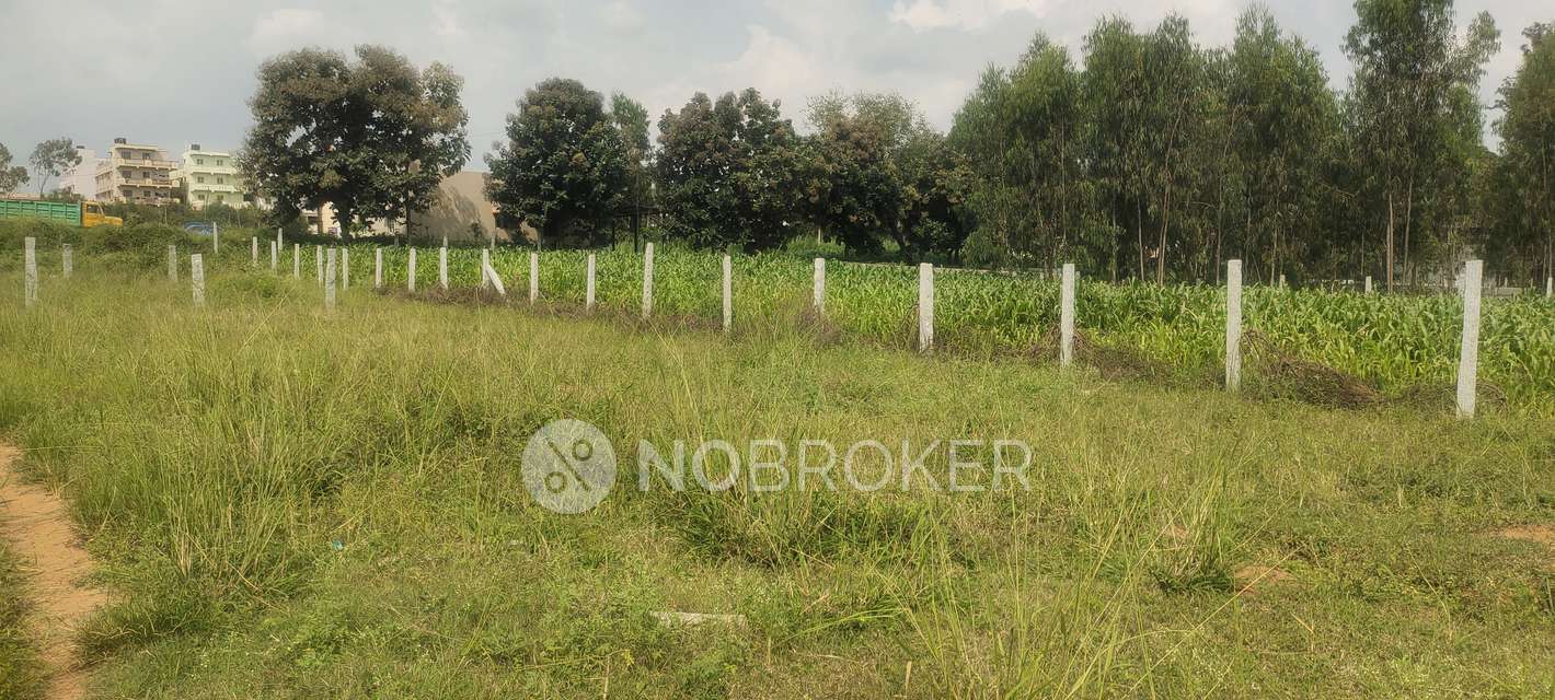 Plot For Sale  In Yelahanka