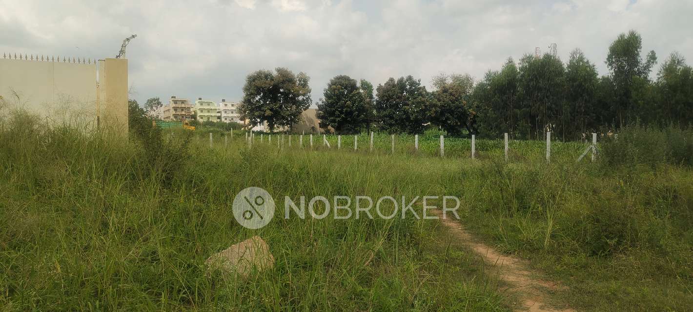 Plot For Sale  In Yelahanka