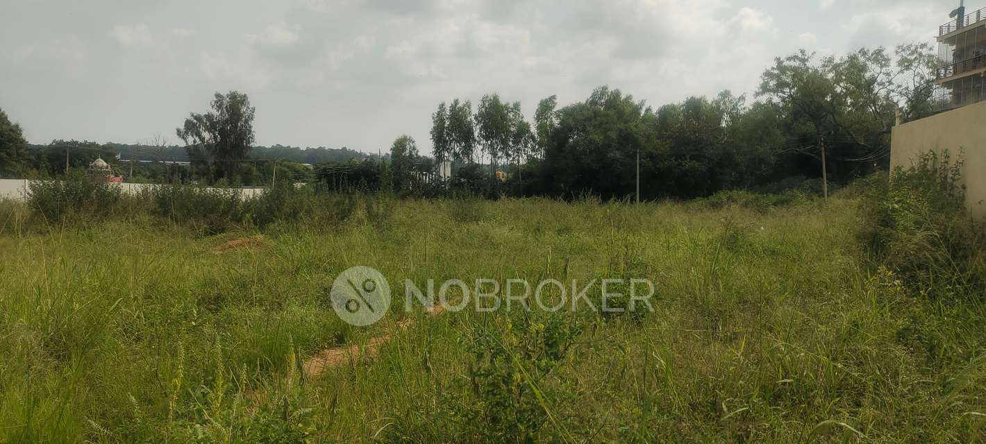 Plot For Sale  In Yelahanka