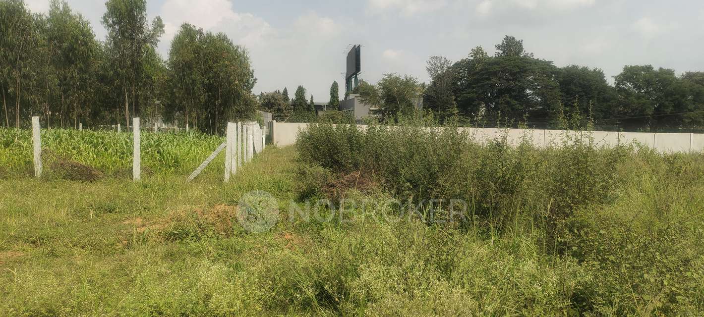 Plot For Sale  In Yelahanka