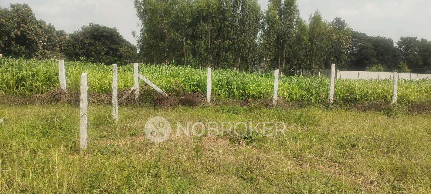 Plot For Sale  In Yelahanka