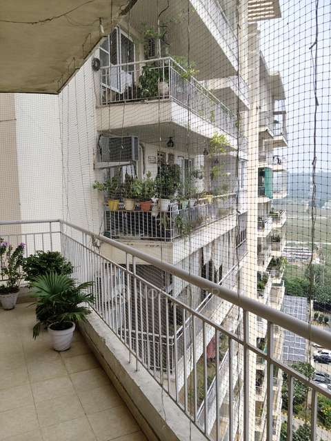 3 BHK Flat In Gpl Eden Heights, Sector 70 For Sale  In Sector 70