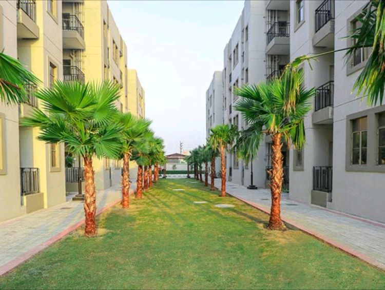 Signature Global Solera