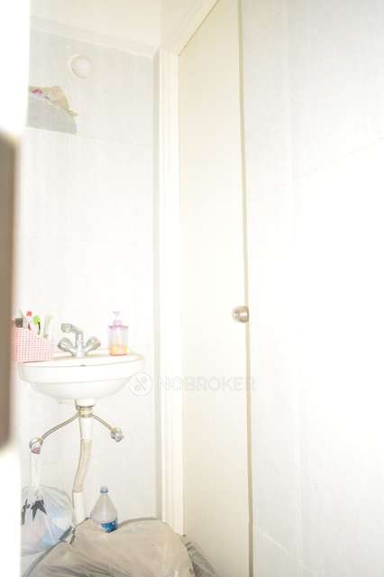 1 BHK Flat In Ss Platinum Park, Undri for Rent  In Undri