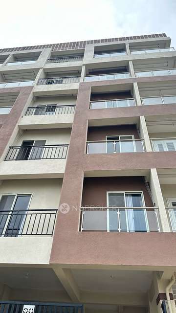 1 BHK Flat In Signature 41  for Rent  In Hinjawadi