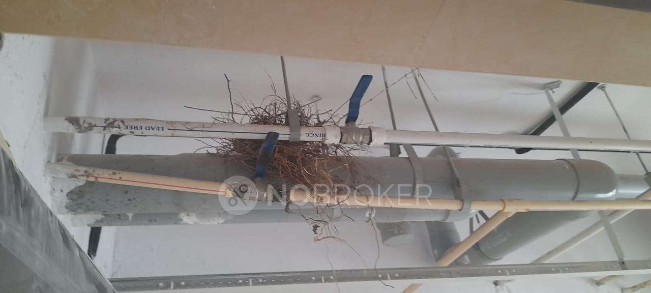 3 BHK Flat In Ozone Urbana Pavilion For Sale  In Kannamangala