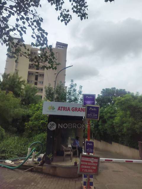 2 BHK Flat In Atria Grande for Rent  In  Handewadi