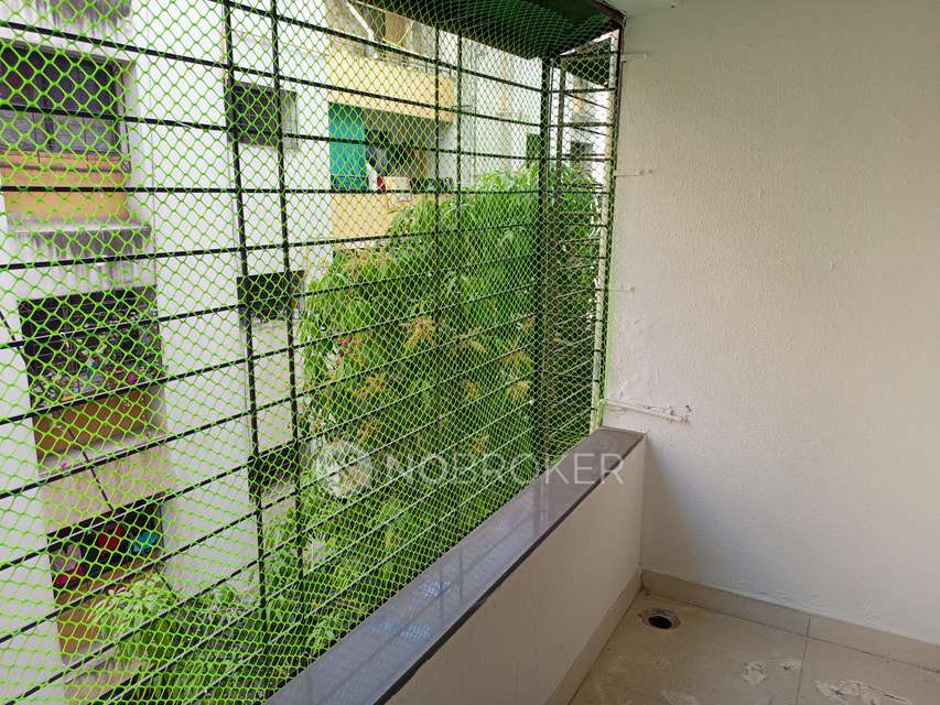 Ensuring Safety and Comfort: Pigeon Net and Grill Solutions in Dhankawadi, Pune