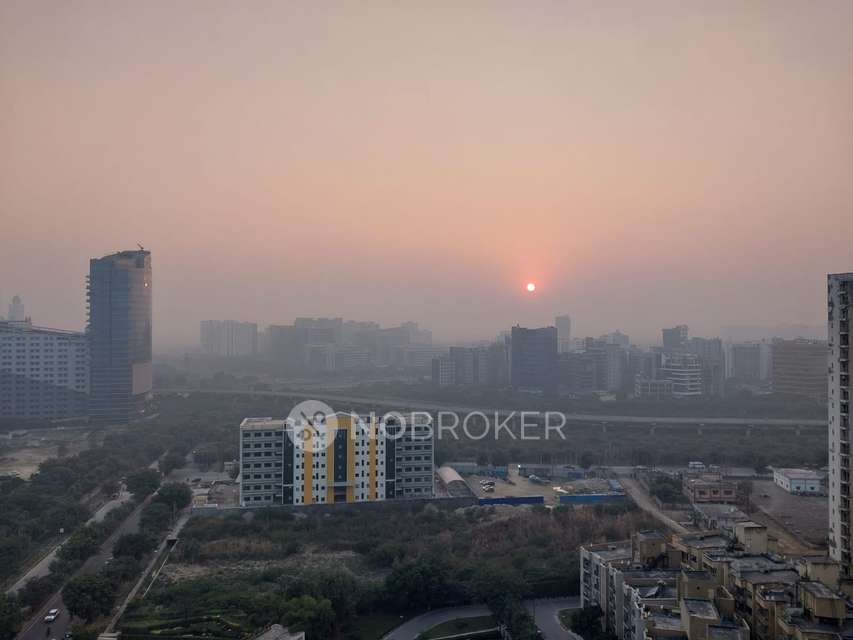 3 BHK Flat In Paras Tierea For Sale  In Sector 137