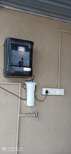 PG for Anyone in Wadgaon Sheri