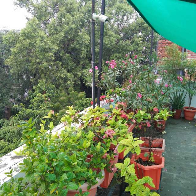 PG for Girls in Kamla Nagar