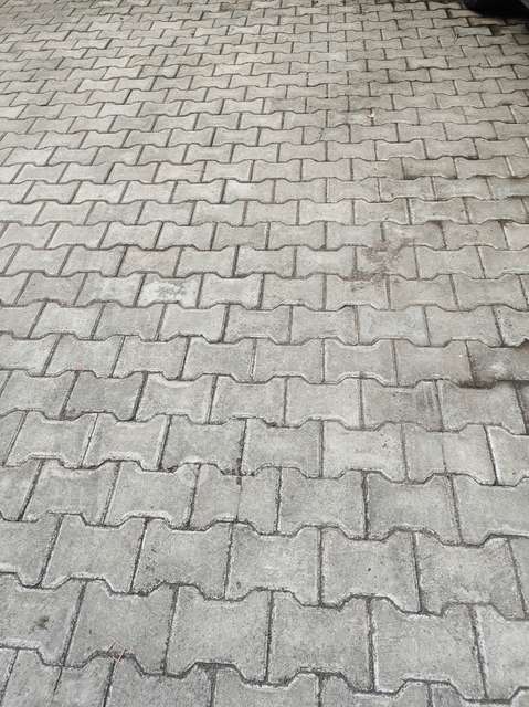 3 BHK Flat In Tropica  for Rent  In Ravet