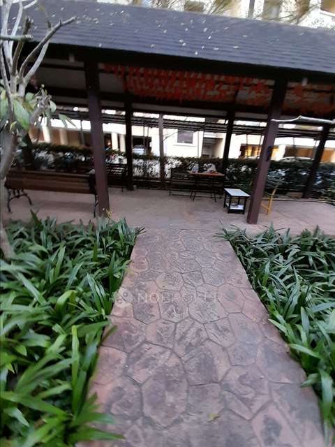 3 BHK Flat In Tropica  for Rent  In Ravet