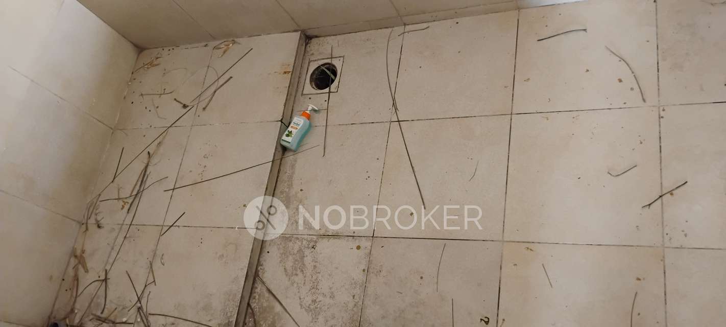 3 BHK Flat In Tropica  for Rent  In Ravet