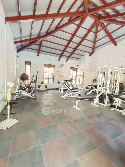 3 BHK Flat In Tropica  for Rent  In Ravet