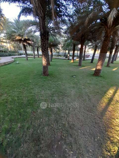 3 BHK Flat In Tropica  for Rent  In Ravet