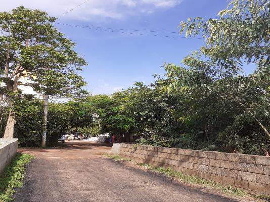 Plot For Sale  In Central Officers Layout  In Jakkur