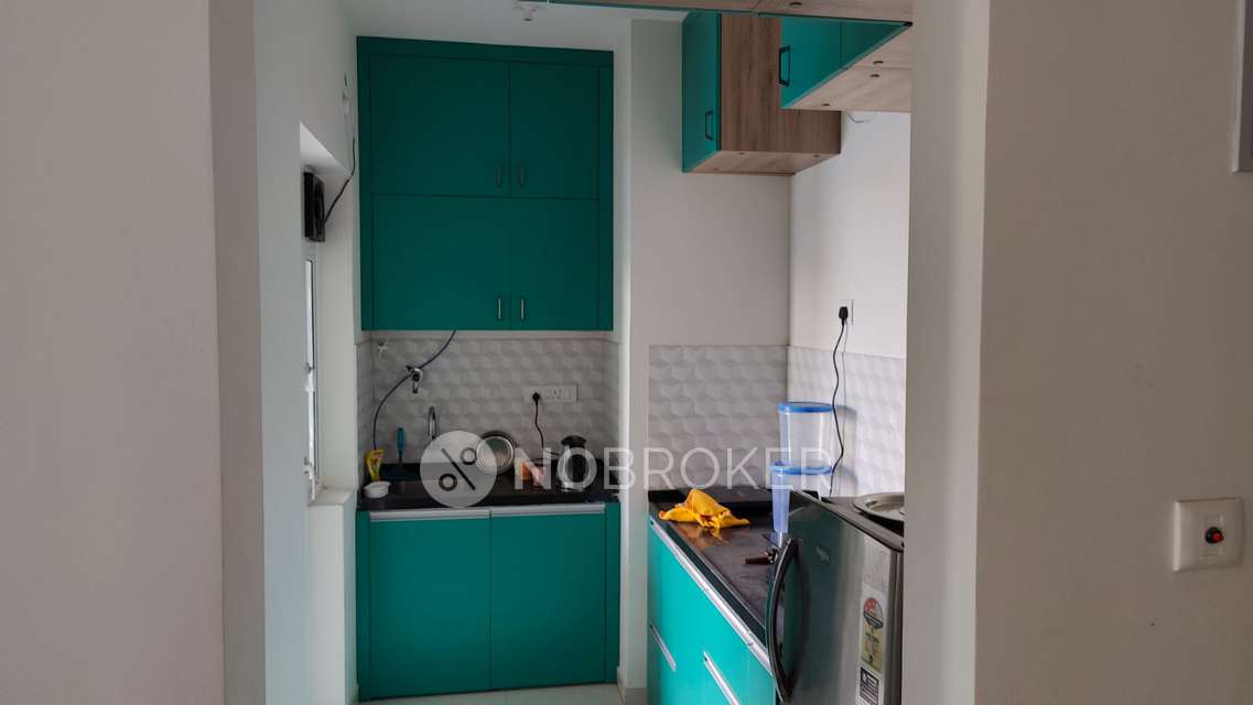 1 BHK Flat In Godrej Hillside For Sale  In Mahalunge, Pune