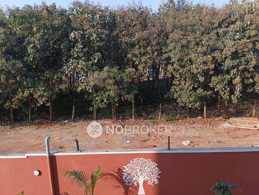 1 BHK Flat In Rrl Nature Woods For Sale  In Sarjapura