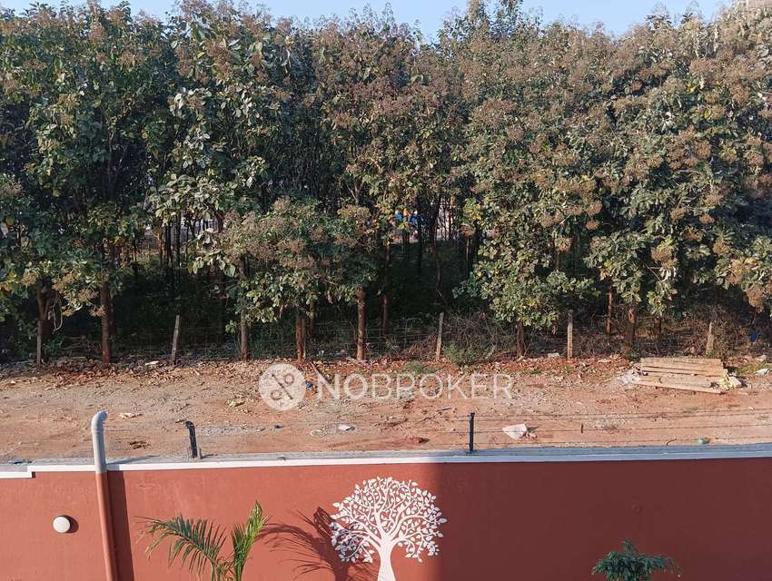 1 BHK Flat In Rrl Nature Woods For Sale  In Sarjapura