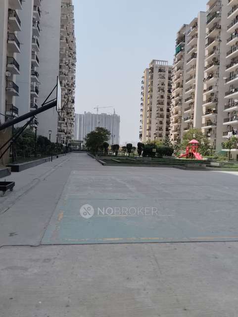 3 BHK Flat In Panchsheel Hynish For Sale  In Sector 1