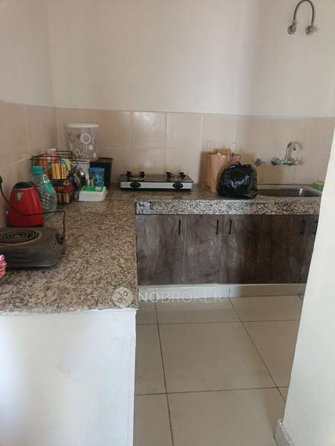 3 BHK Flat In Panchsheel Hynish For Sale  In Sector 1