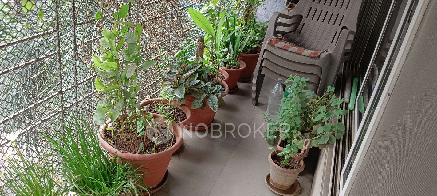 3 BHK Flat In Laxmi  Apartment For Sale  In Sion