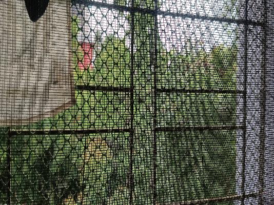 3 BHK Flat In Laxmi  Apartment For Sale  In Sion