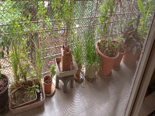 3 BHK Flat In Laxmi  Apartment For Sale  In Sion