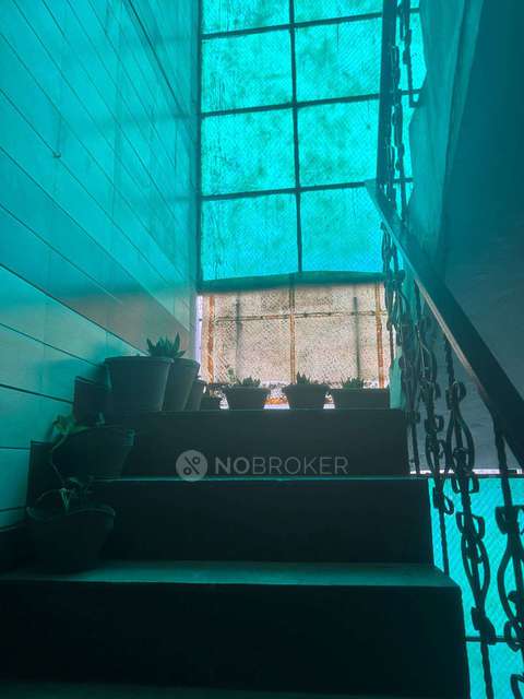 3 BHK Flat In Abul Fazal Enclave For Sale  In Okhla