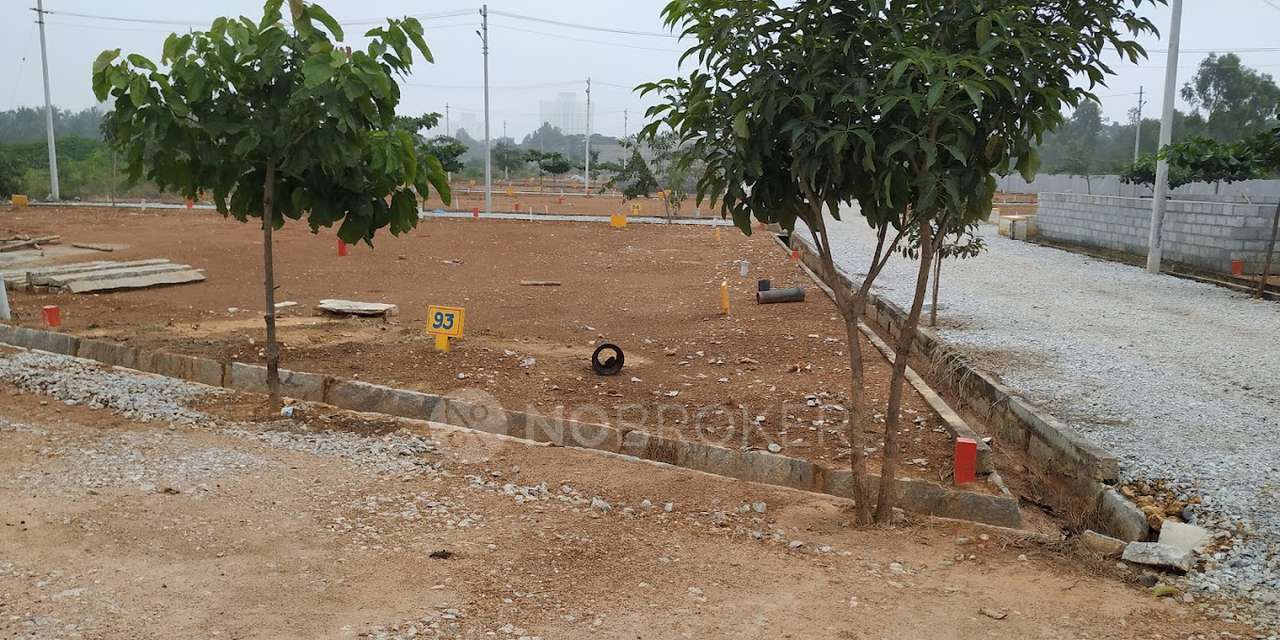 Plot For Sale  In Arya Prakruthi Enclave Layout  Phase3 In Cheemasandra