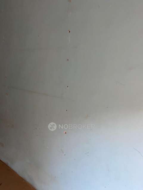 PG for Anyone in Rahul Vihar-1