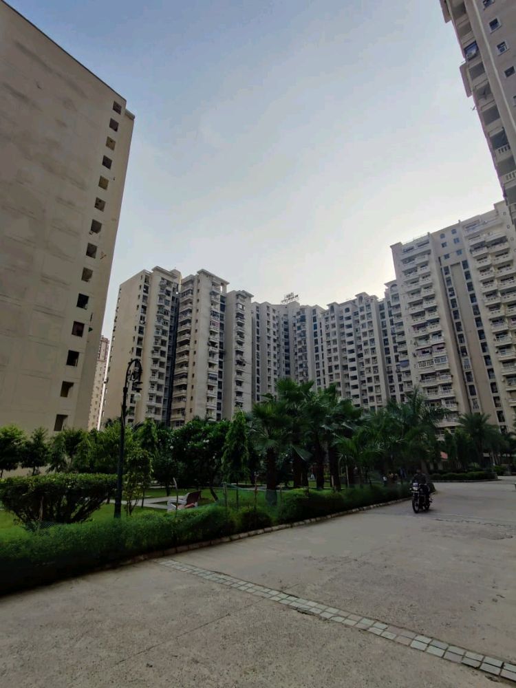 Amrapali Silicon City